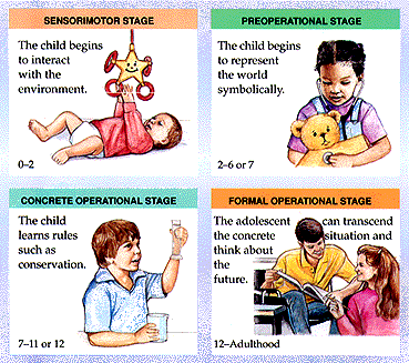 stage-of-cognitive-development